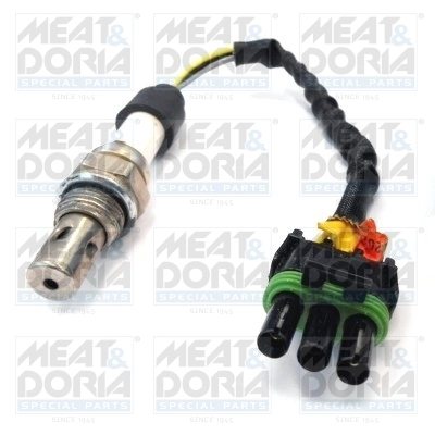 Oxygen Sensor